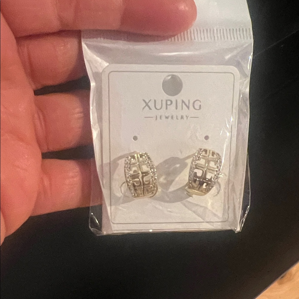 Ping Elegant Silver and Gold Earrings